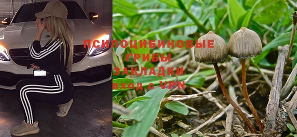 гидропоника Протвино