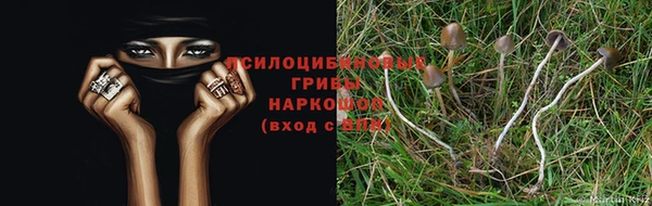 спиды Ростов