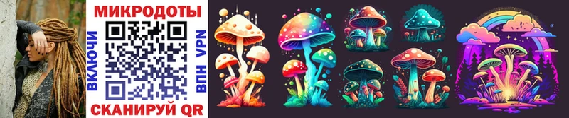 закладки  Кыштым  Псилоцибиновые грибы Psilocybe 