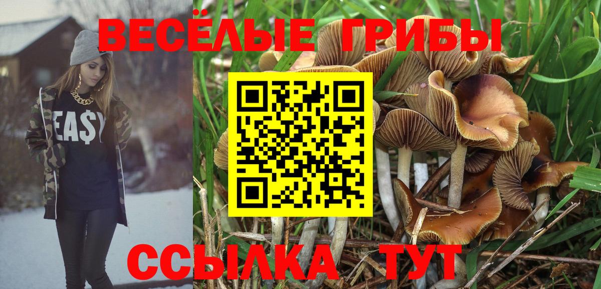 NBOMe Кыштым