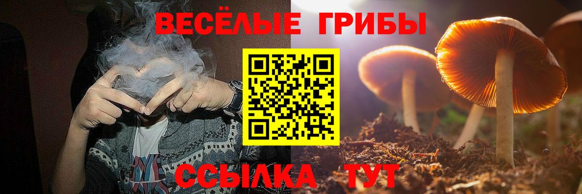 Галлюциногенные грибы мицелий  наркота  Кыштым  Вход с VPN 